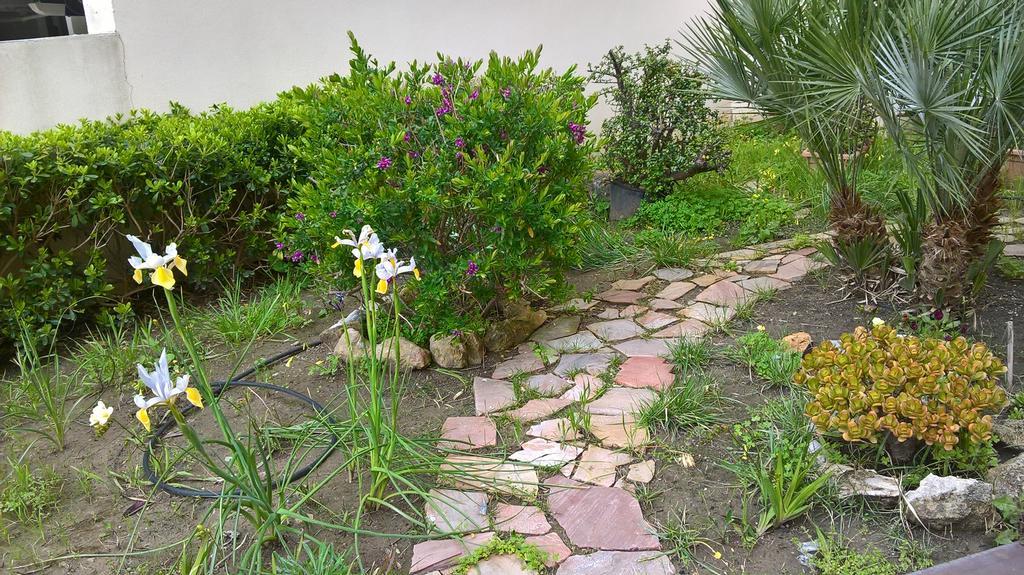 Appartamento Tulipano Alghero Ngoại thất bức ảnh